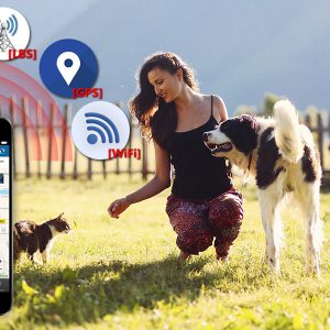 GPS Tracker for Pets